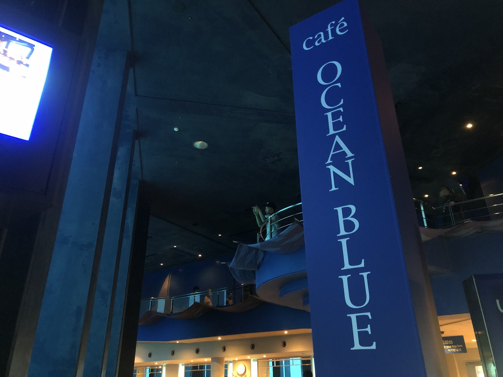 沖縄の水族館カフェ オーシャンブルー インスタ映え 美ら海水族館マル秘スポット Playlife プレイライフ