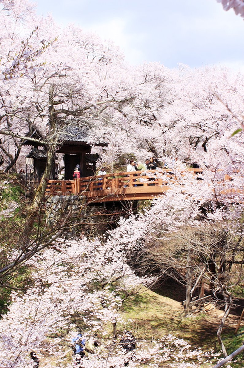 高遠城址公園