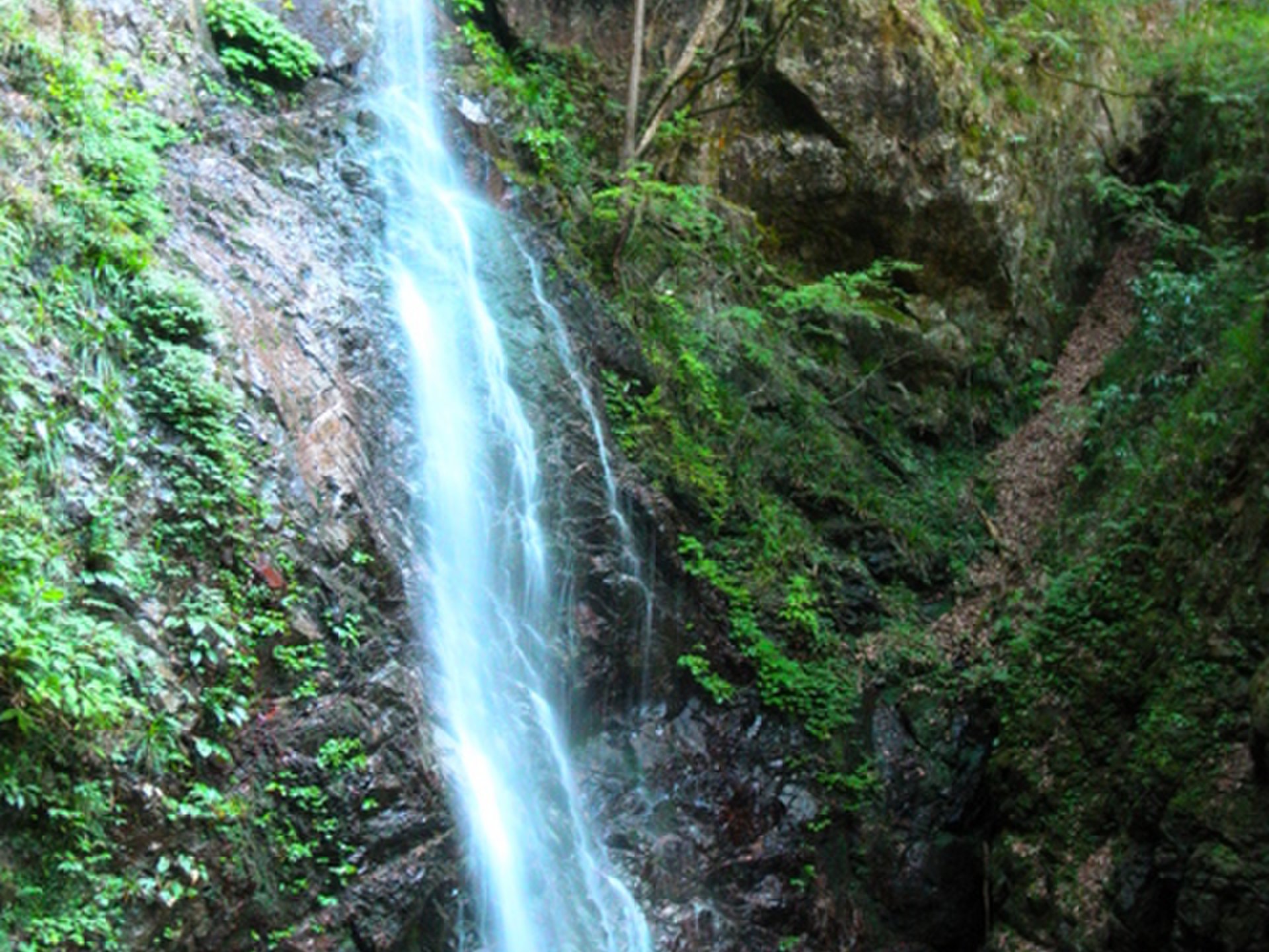 払沢の滝