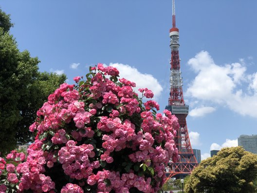 東京タワー