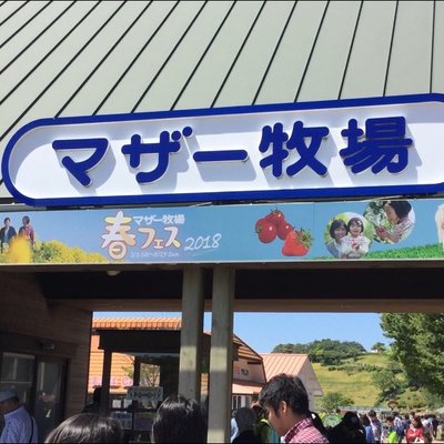 マザー牧場