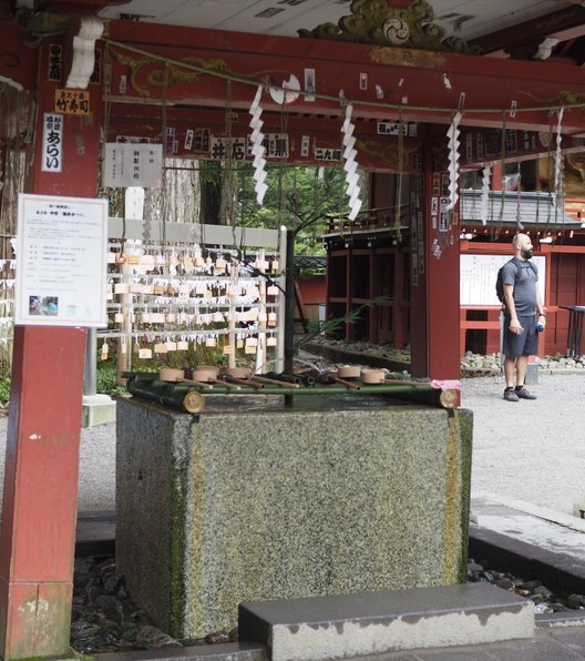 日光二荒山神社の御神木