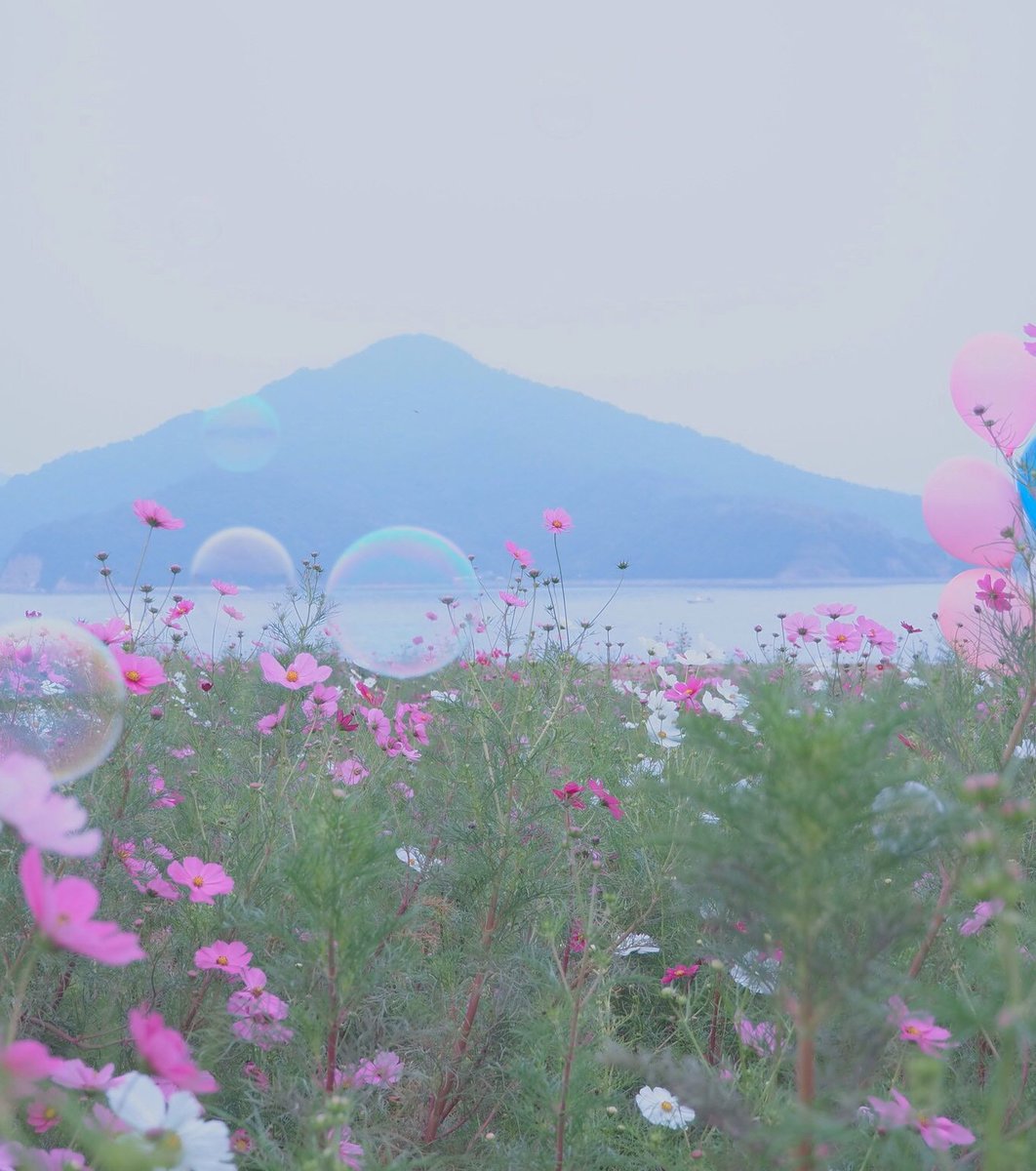 フラワーパーク浦島