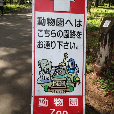 円山公園