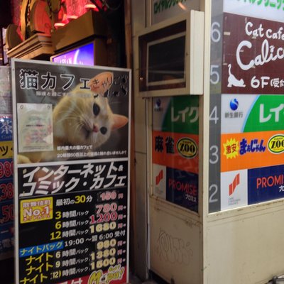 【閉店】猫カフェ きゃりこ 新宿店