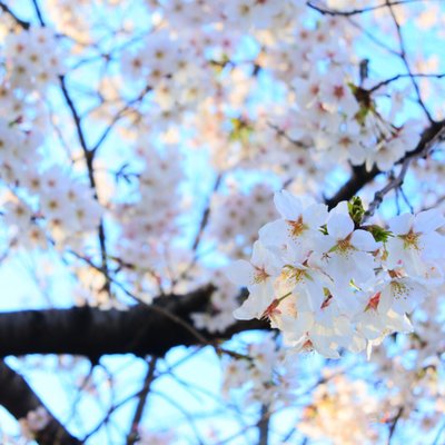 南天満公園