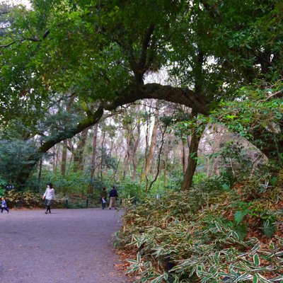 国立科学博物館附属自然教育園