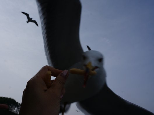 浄土ヶ浜レストハウス