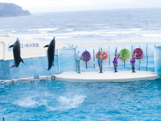 江ノ島水族館メインショップ