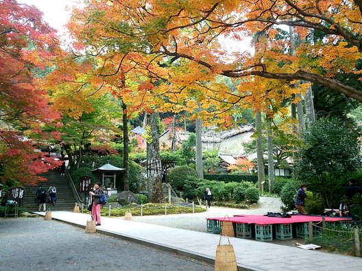 大興善寺契園