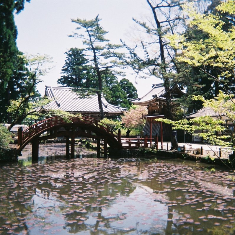 金剛證寺