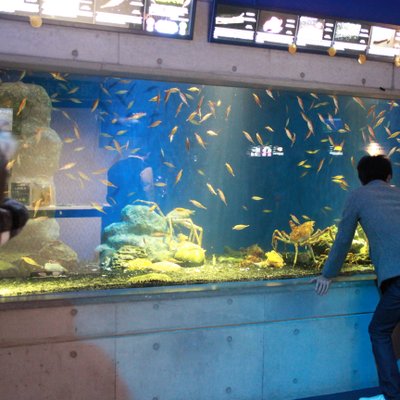 沼津港深海水族館