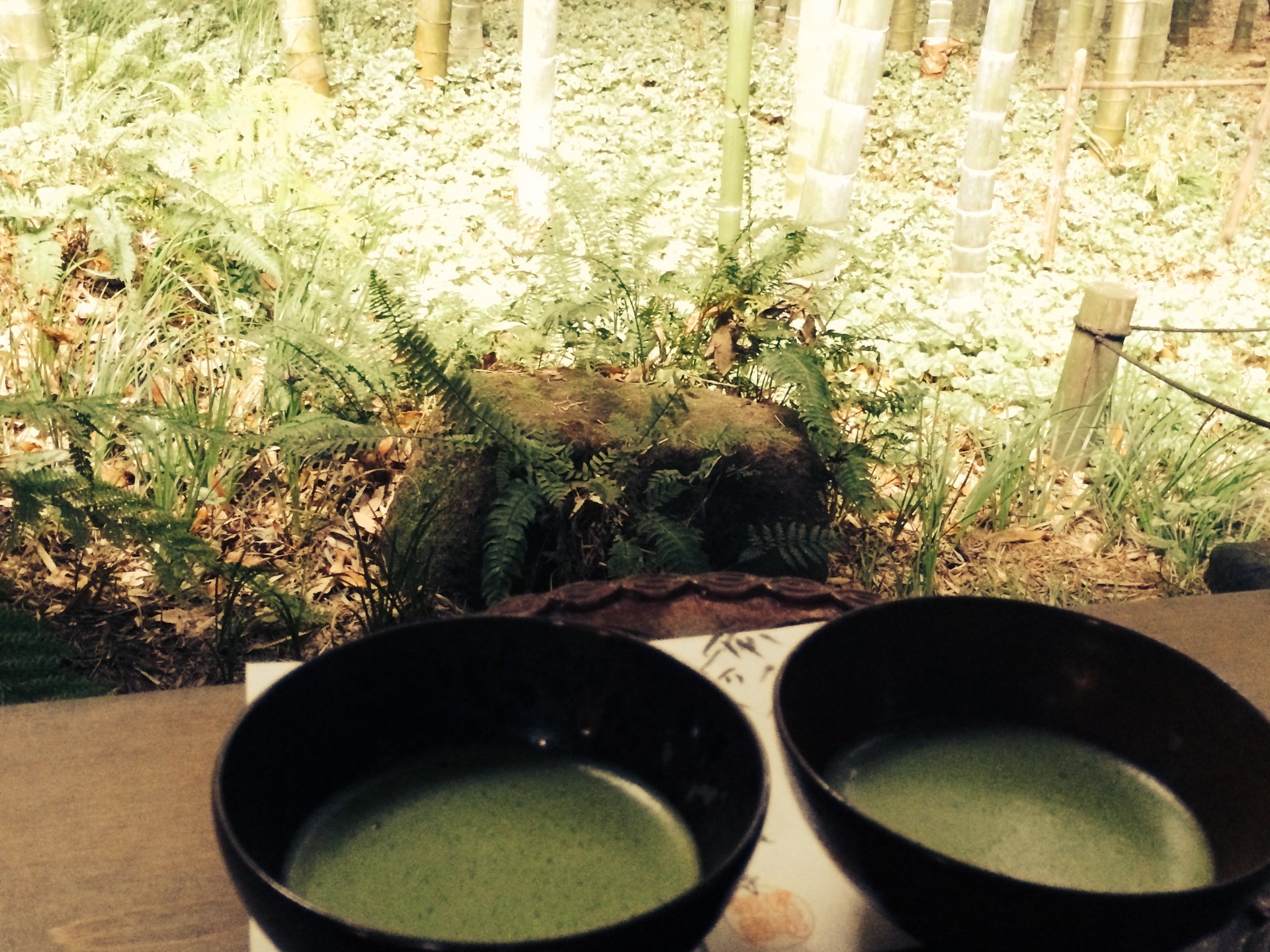 【鎌倉】竹林の中で抹茶を頂ける「報国寺」で自然を感じるのんびりデート