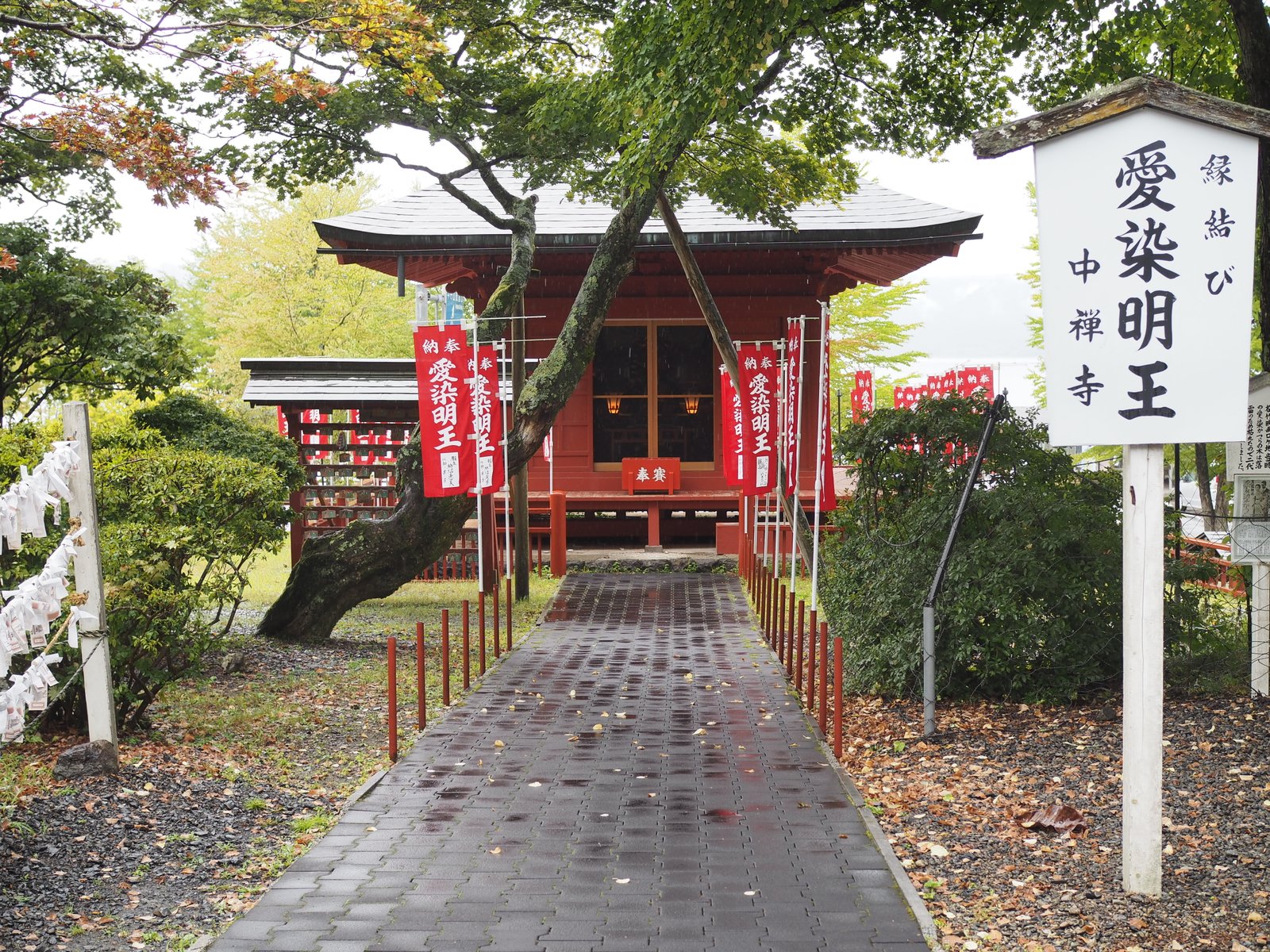 日光山中禅寺 立木観音