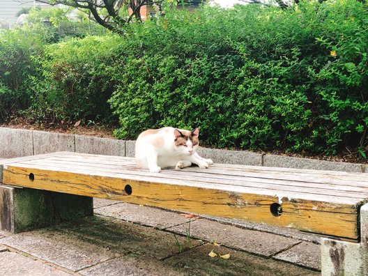 天拝山歴史自然公園