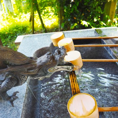 毛谷黒龍神社