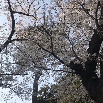 野毛山動物園