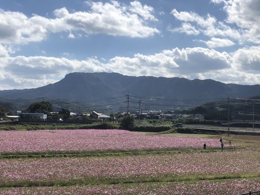 道の駅 なかつ