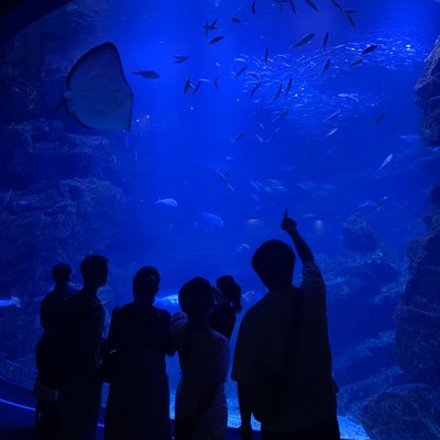 京都水族館