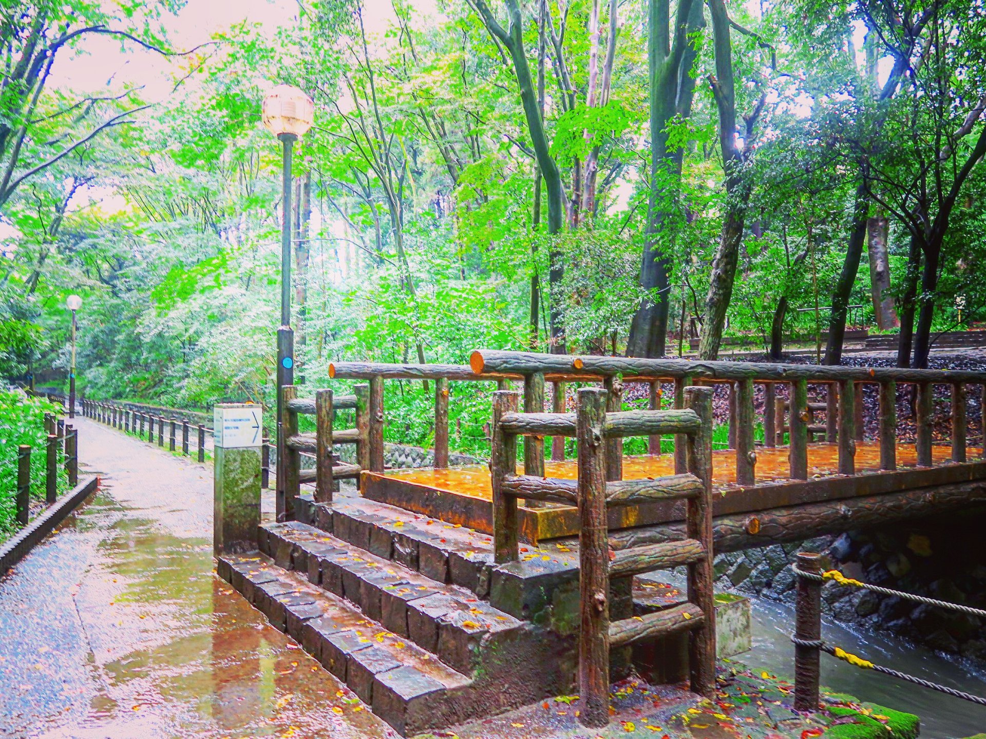 雨の日も楽しもう！東急大井町線沿いの隠れ人気スポットをお散歩デート♡