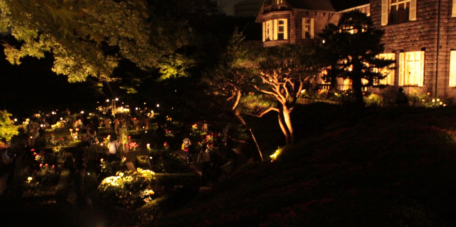 旧古河庭園 バラと洋館 日本庭園のライトアップでファンタジーの世界へ Playlife プレイライフ