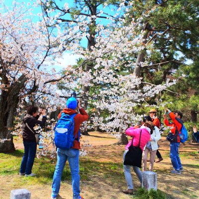 京都御苑