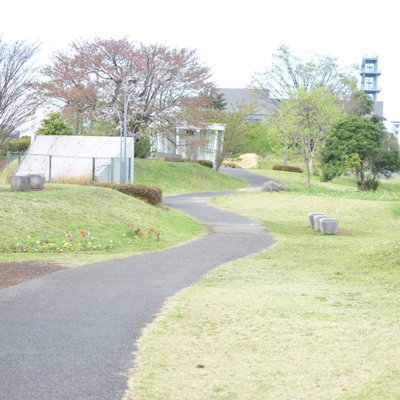 国営昭和記念公園