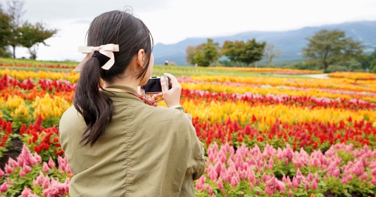 栃木県の日帰りで行けるおすすめ絶景スポット14選 世界遺産から穴場まで Playlife プレイライフ