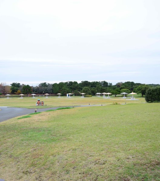 海の中道海浜公園