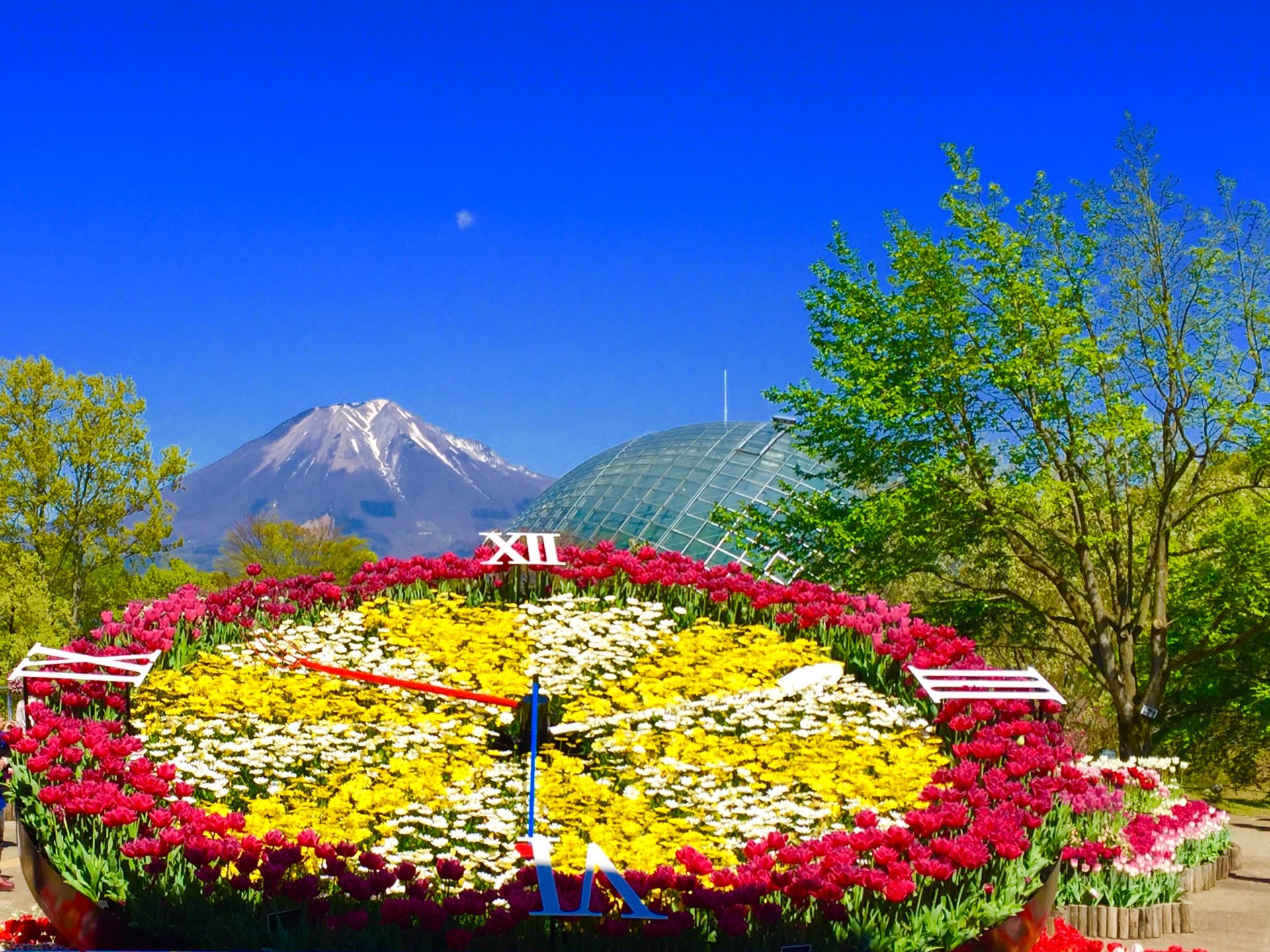 【日本最大級のフラワーパークへ】鳥取県観光で行きたい大山麓のとっとり花回廊