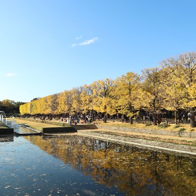 国営昭和記念公園