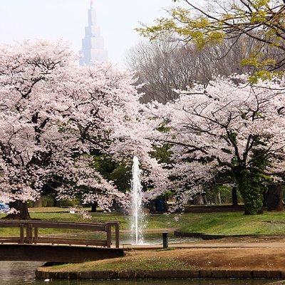 代々木公園