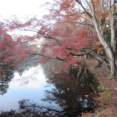 雲場池