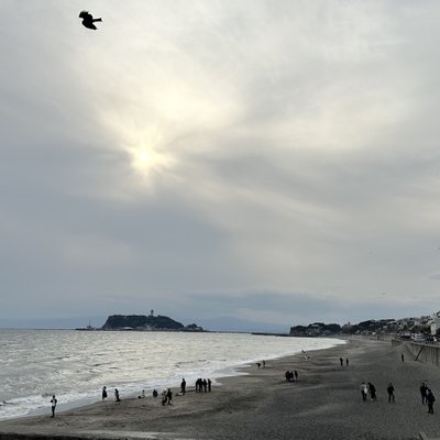 七里ヶ浜