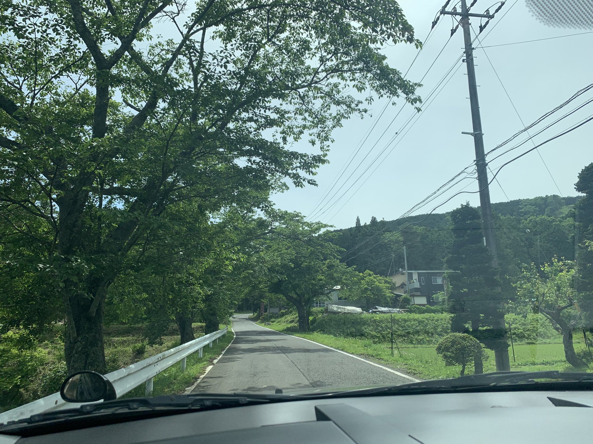 栃木県 県民の森