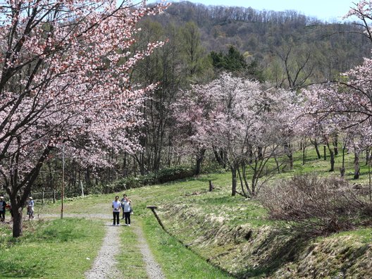 東明公園