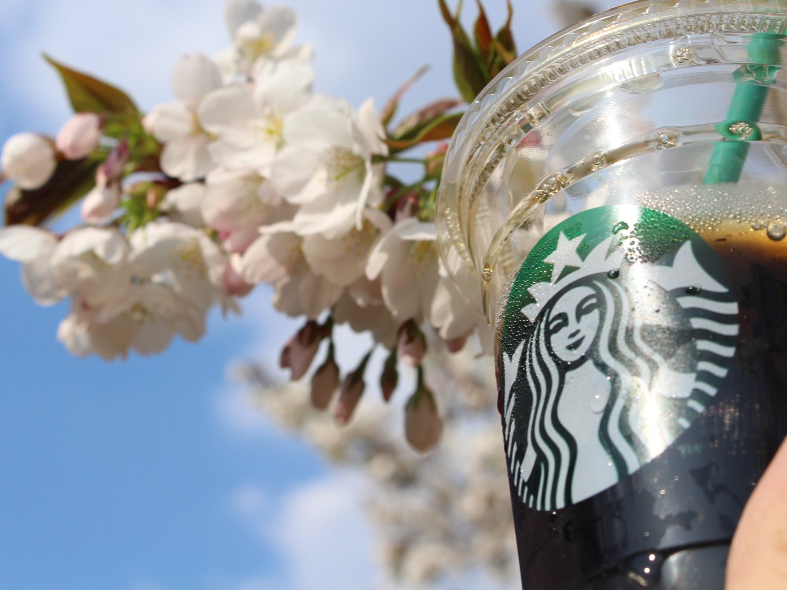 スターバックスコーヒー 千葉おゆみ野店