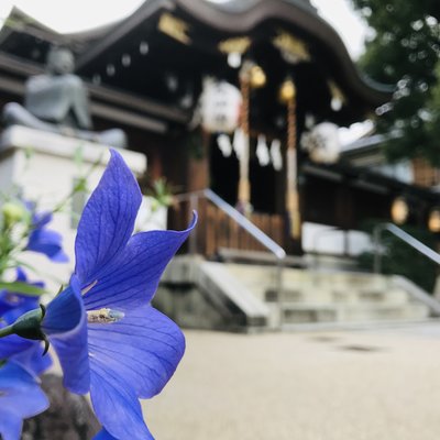 晴明神社 桔梗庵