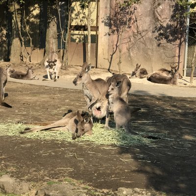 金沢動物園