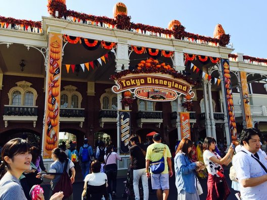 東京ディズニーランド(c)