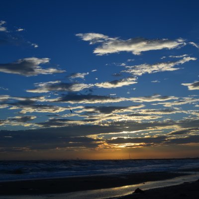 稲毛海浜公園