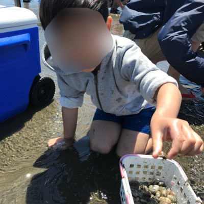 金田海岸潮干狩り場