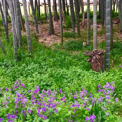 ラディアン花の丘公園