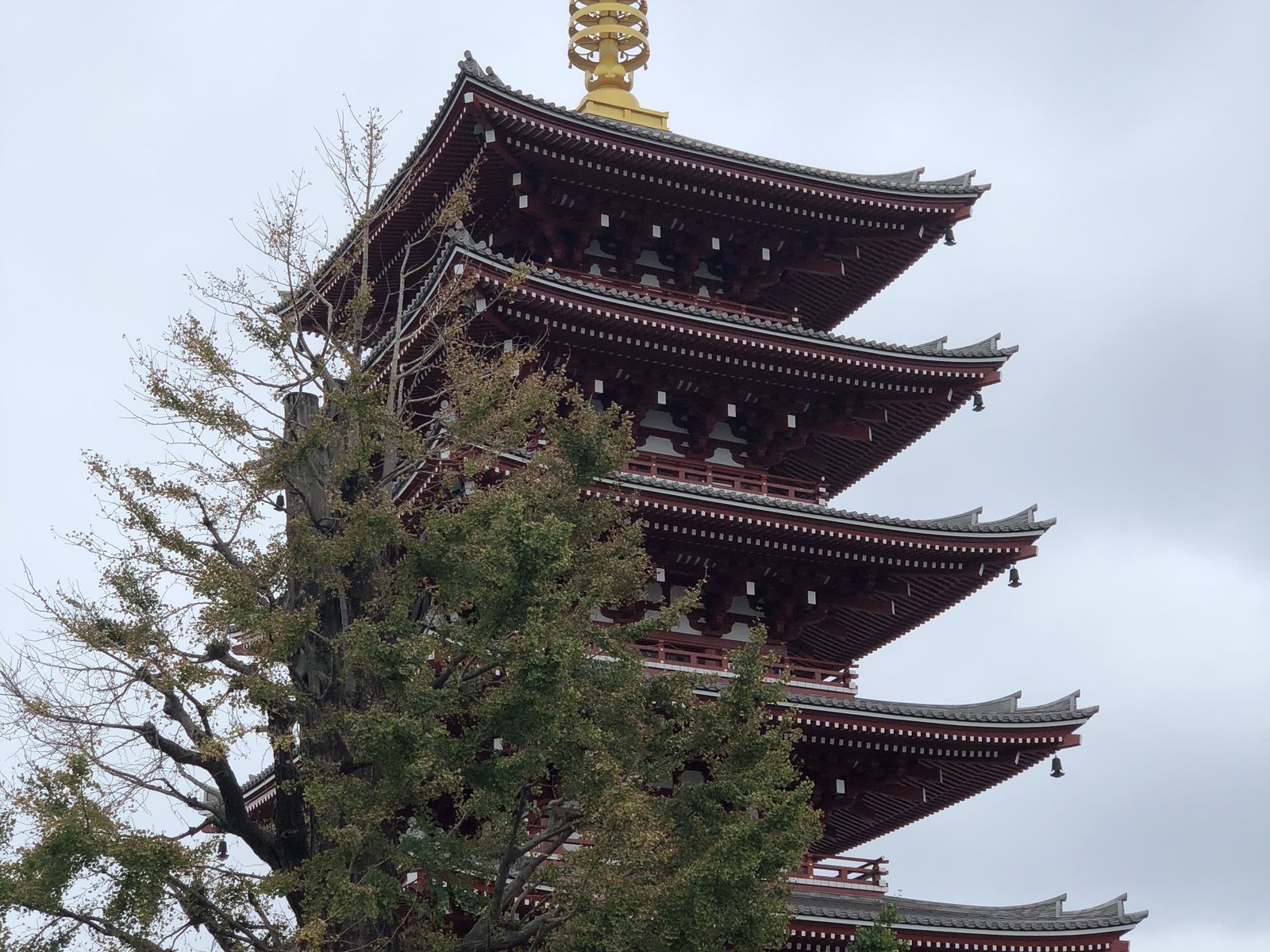 浅草寺 五重塔