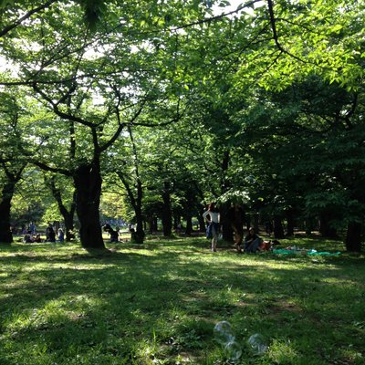 代々木公園