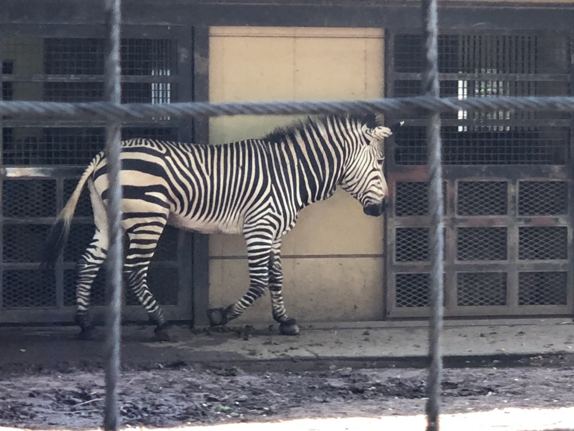 鹿島田には崖の上に無料の動物園があるんだって！〜「田」のつく駅旅 第①弾〜