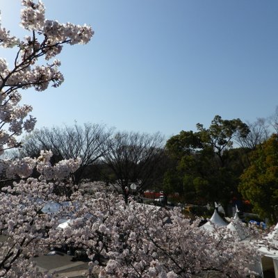 代々木公園