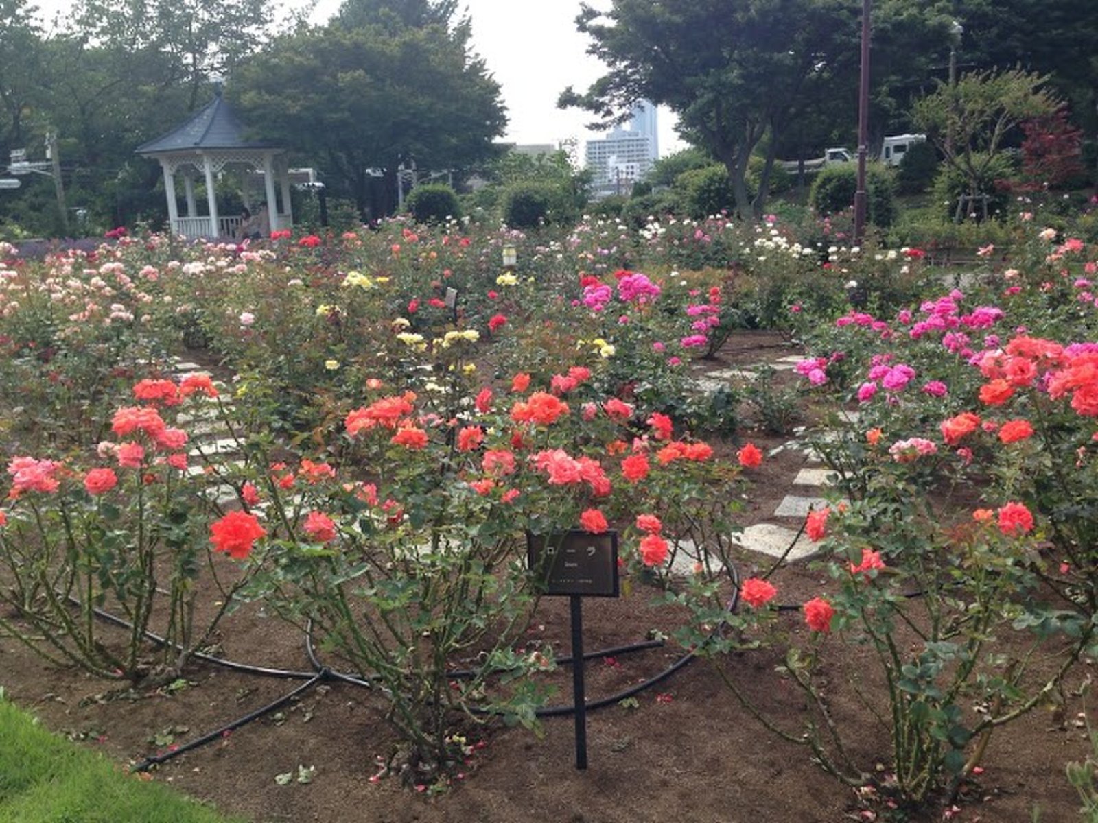 港の見える丘公園