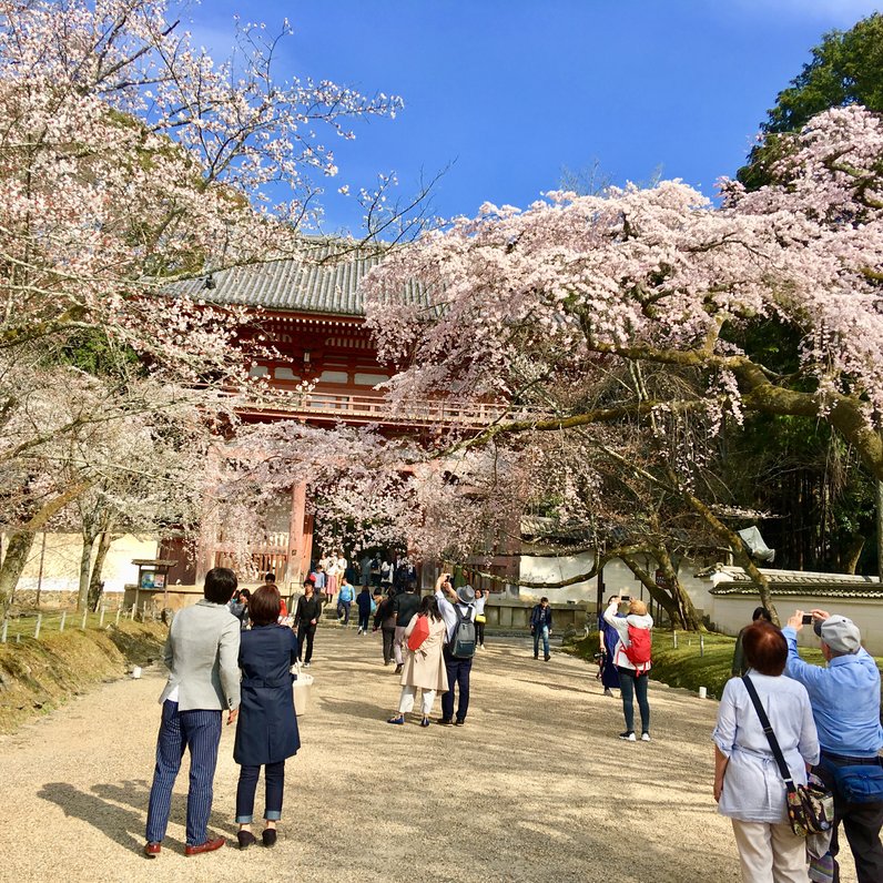 醍醐寺