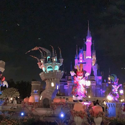 東京ディズニーランド(c)